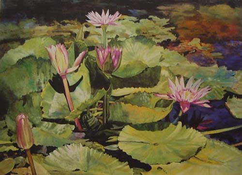 Stephanie Elise_22x15_WaterLily