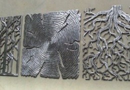 Roots and shoots