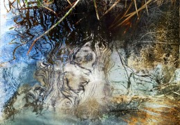 1_Reflection-12