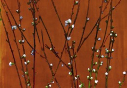 Bloom 10