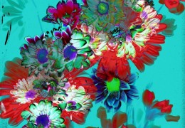 Bloom 14
