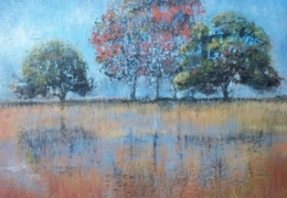Reflections 1