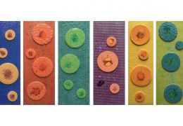 Buttons and Tape