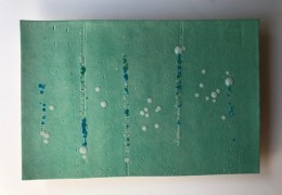 Story Line Celedon