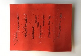 Story Line Tomato